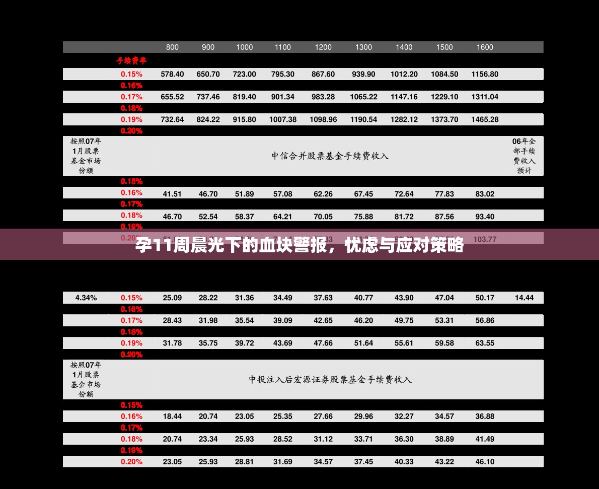 孕11周晨光下的血塊警報，憂慮與應對策略