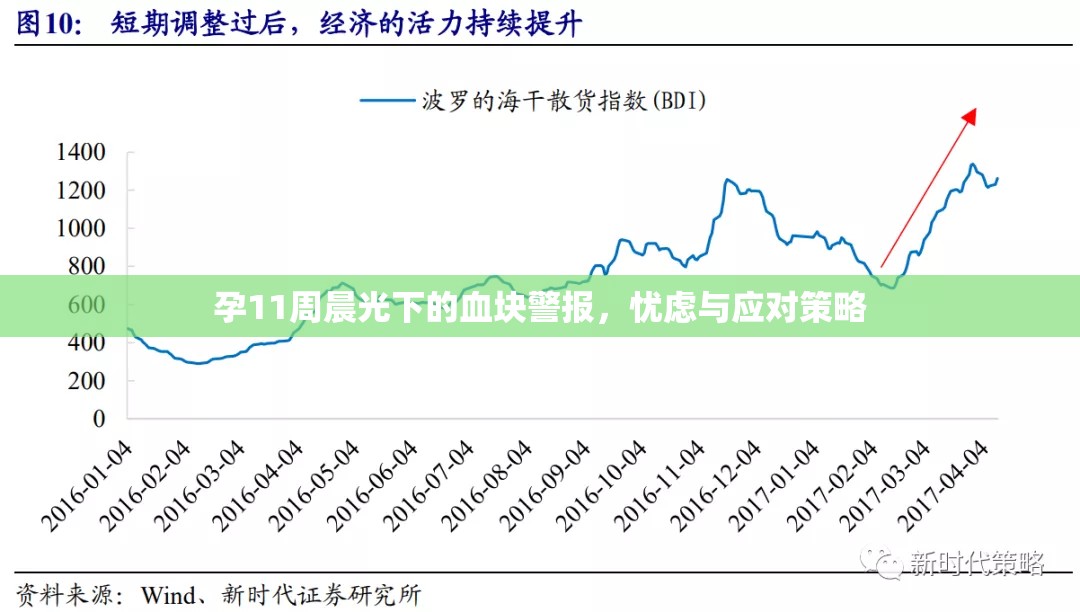 孕11周晨光下的血塊警報，憂慮與應對策略