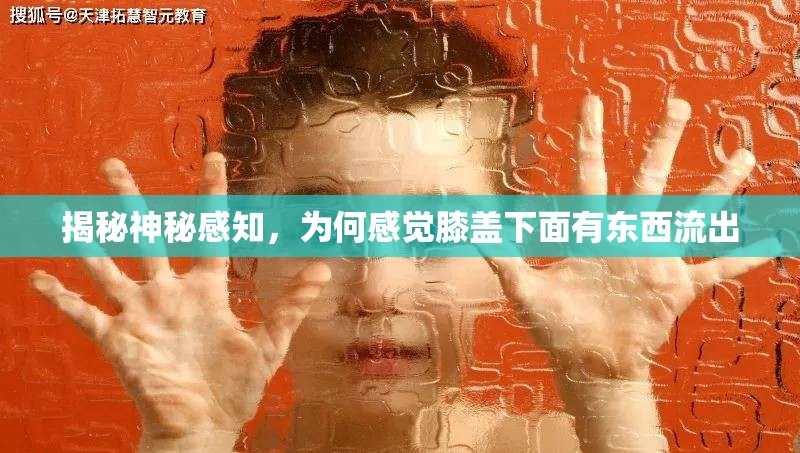 揭秘神秘感知，為何感覺膝蓋下面有東西流出