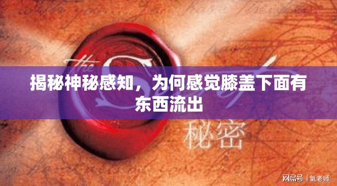 揭秘神秘感知，為何感覺膝蓋下面有東西流出
