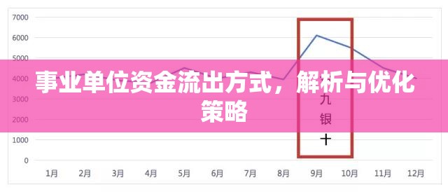 事業(yè)單位資金流出方式，解析與優(yōu)化策略