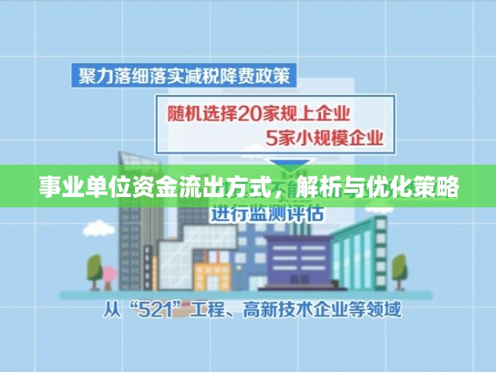 事業(yè)單位資金流出方式，解析與優(yōu)化策略
