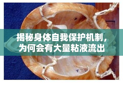 揭秘身體自我保護(hù)機(jī)制，為何會(huì)有大量粘液流出