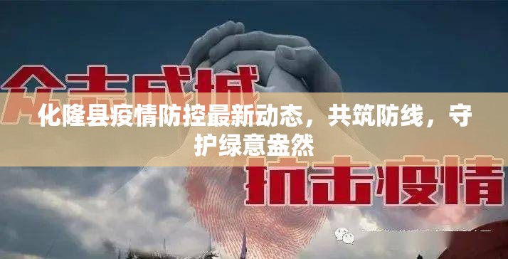 化隆縣疫情防控最新動態(tài)，共筑防線，守護綠意盎然