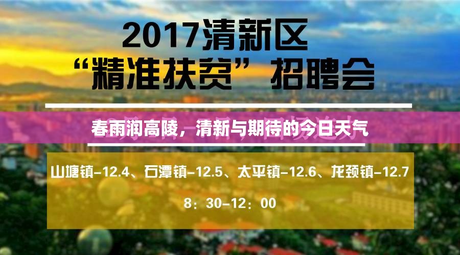 春雨潤高陵，清新與期待的今日天氣