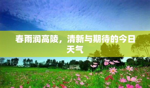 春雨潤高陵，清新與期待的今日天氣