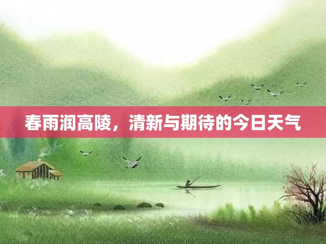 春雨潤高陵，清新與期待的今日天氣