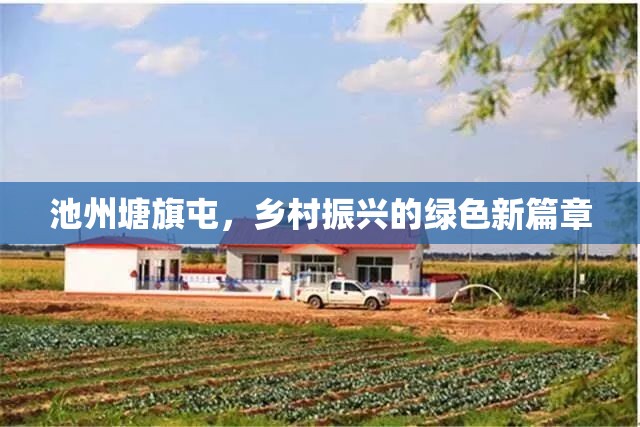 池州塘旗屯，鄉(xiāng)村振興的綠色新篇章