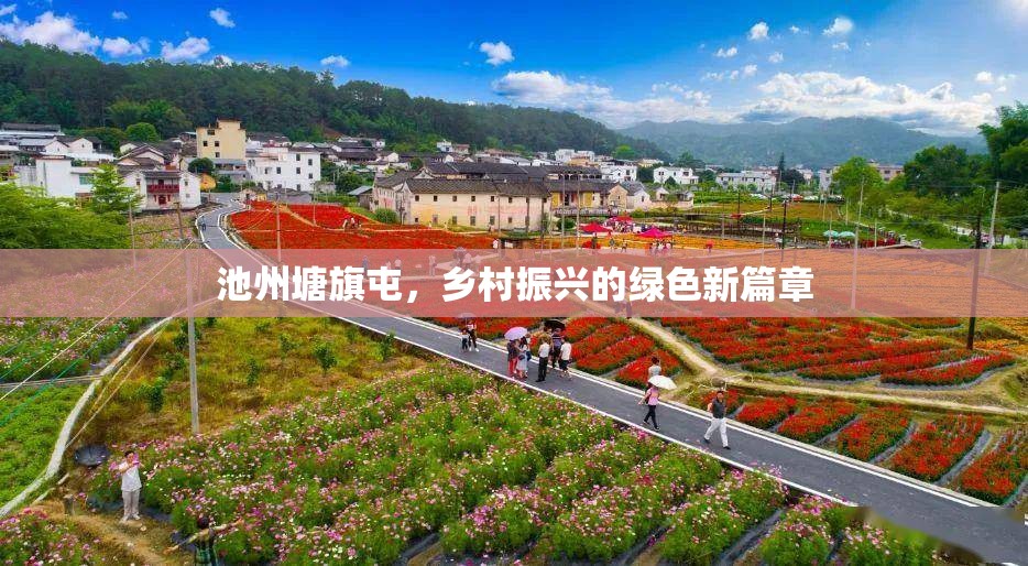 池州塘旗屯，鄉(xiāng)村振興的綠色新篇章
