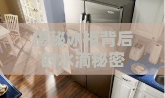 揭秘冰柜背后的水滴秘密