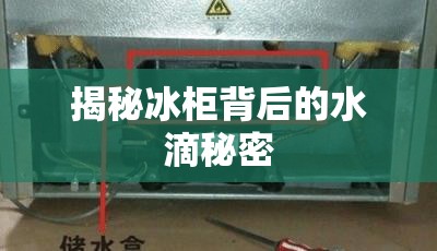 揭秘冰柜背后的水滴秘密
