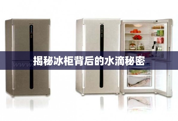 揭秘冰柜背后的水滴秘密