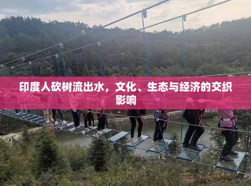 印度人砍樹(shù)流出水，文化、生態(tài)與經(jīng)濟(jì)的交織影響