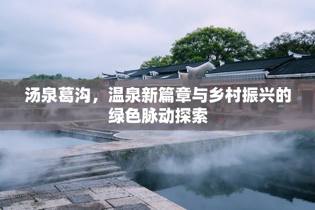 湯泉葛溝，溫泉新篇章與鄉(xiāng)村振興的綠色脈動探索
