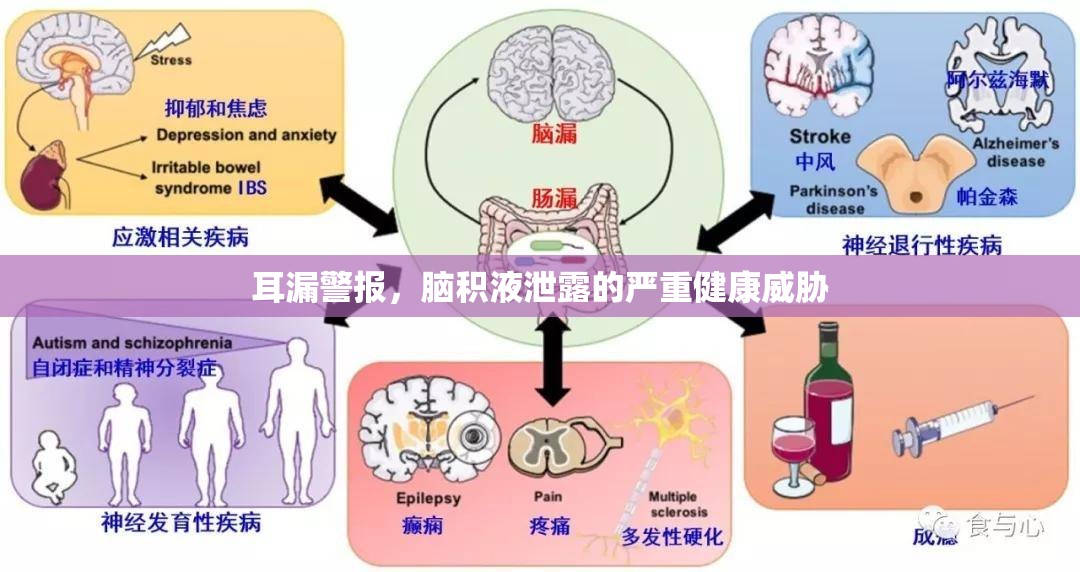 耳漏警報，腦積液泄露的嚴(yán)重健康威脅