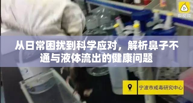 從日常困擾到科學(xué)應(yīng)對，解析鼻子不通與液體流出的健康問題