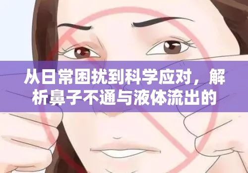 從日常困擾到科學(xué)應(yīng)對，解析鼻子不通與液體流出的健康問題