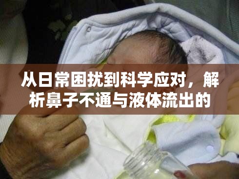 從日常困擾到科學(xué)應(yīng)對，解析鼻子不通與液體流出的健康問題