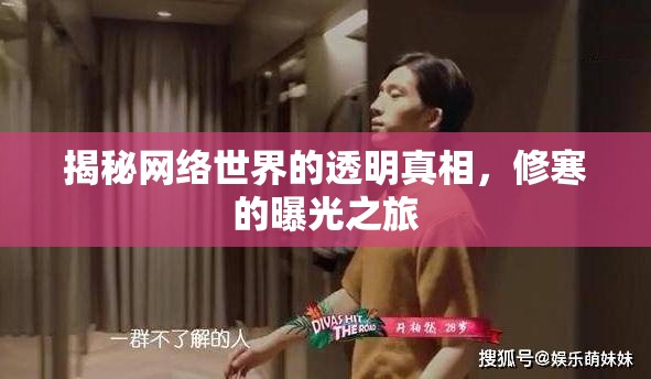 揭秘網(wǎng)絡(luò)世界的透明真相，修寒的曝光之旅
