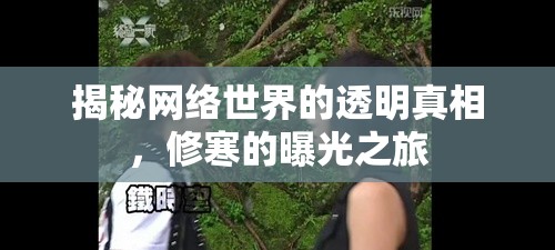 揭秘網(wǎng)絡(luò)世界的透明真相，修寒的曝光之旅