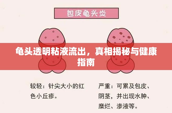 龜頭透明粘液流出，真相揭秘與健康指南