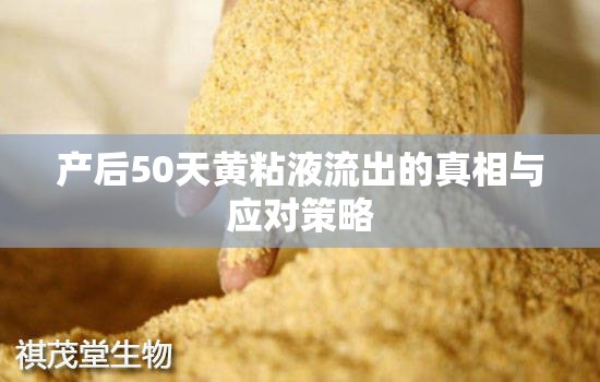 產(chǎn)后50天黃粘液流出的真相與應(yīng)對策略