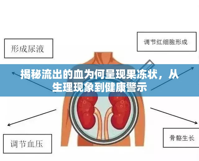 揭秘流出的血為何呈現(xiàn)果凍狀，從生理現(xiàn)象到健康警示