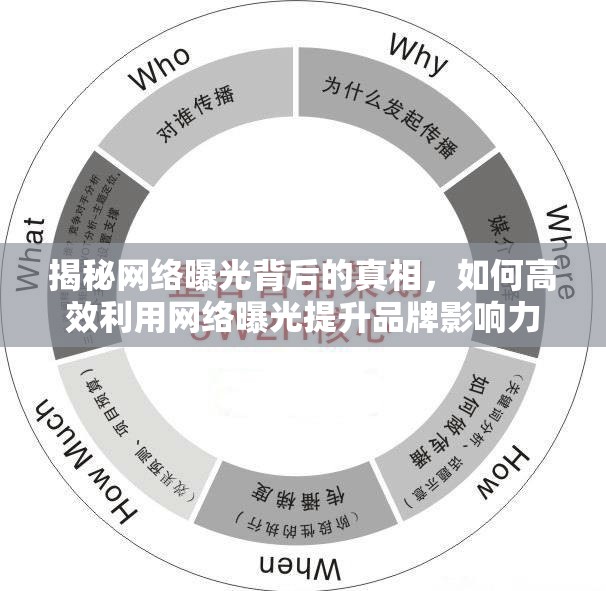 揭秘網(wǎng)絡(luò)曝光背后的真相，如何高效利用網(wǎng)絡(luò)曝光提升品牌影響力