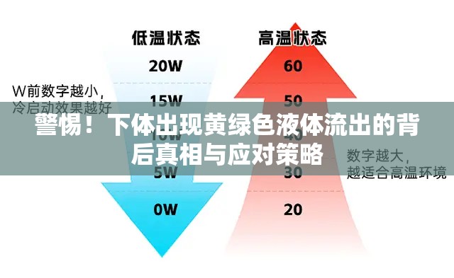 警惕！下體出現(xiàn)黃綠色液體流出的背后真相與應(yīng)對策略