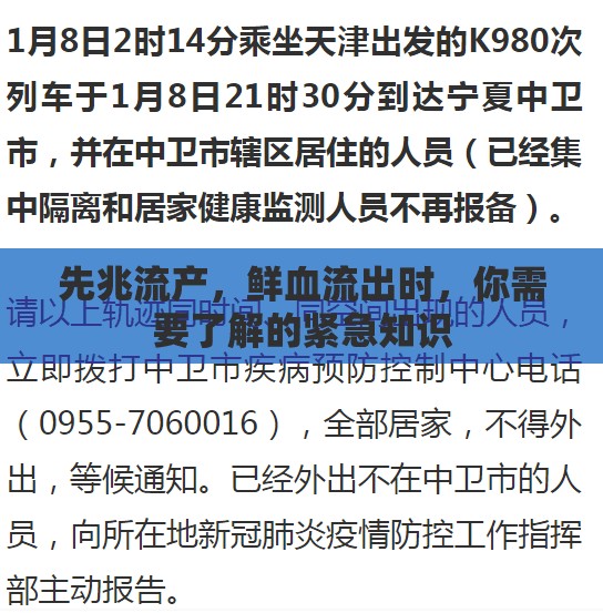 先兆流產(chǎn)，鮮血流出時(shí)，你需要了解的緊急知識(shí)
