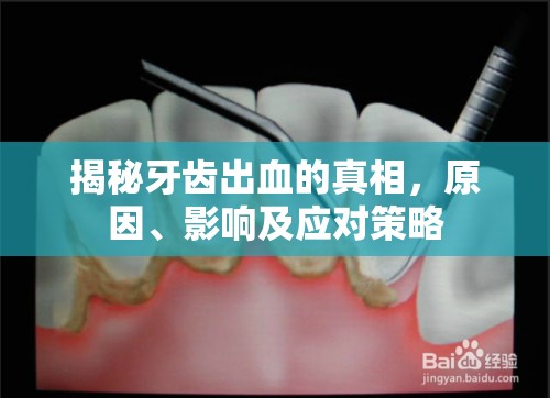 揭秘牙齒出血的真相，原因、影響及應(yīng)對策略