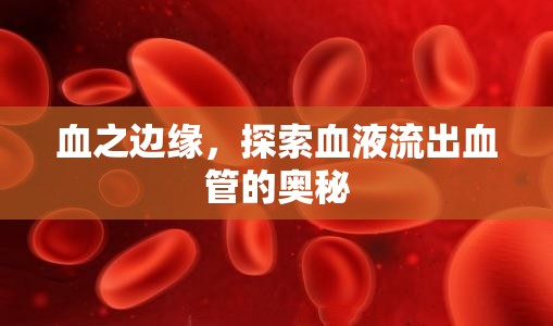 血之邊緣，探索血液流出血管的奧秘