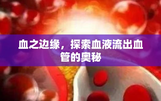 血之邊緣，探索血液流出血管的奧秘