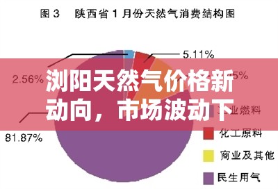 瀏陽天然氣價格新動向，市場波動下的民生考量與未來展望