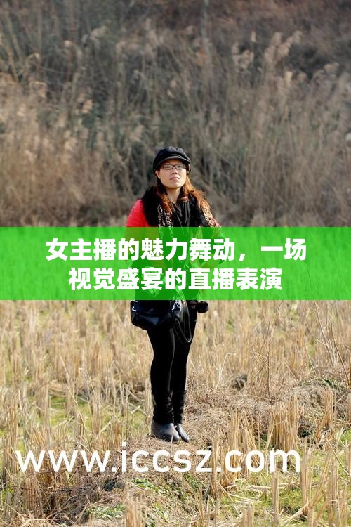 女主播的魅力舞動(dòng)，一場視覺盛宴的直播表演