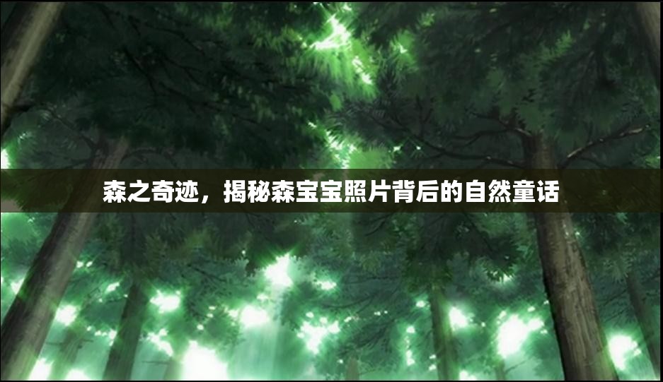 森之奇跡，揭秘森寶寶照片背后的自然童話(huà)