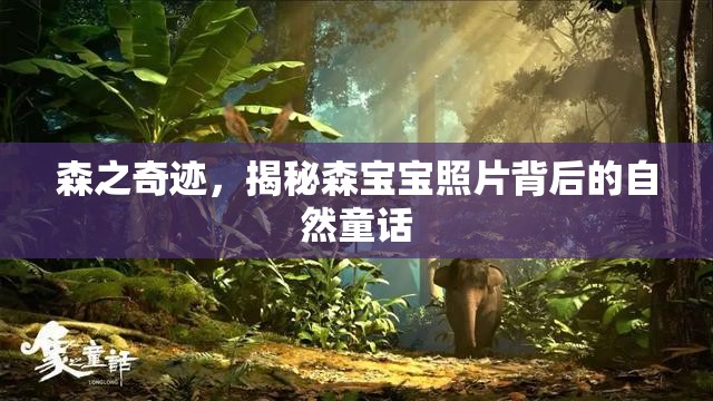 森之奇跡，揭秘森寶寶照片背后的自然童話(huà)