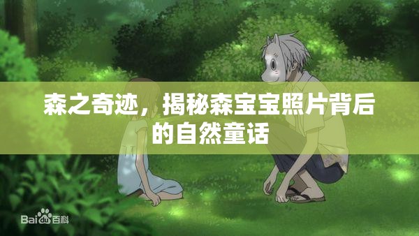 森之奇跡，揭秘森寶寶照片背后的自然童話(huà)