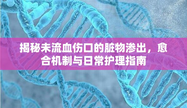 揭秘未流血傷口的臟物滲出，愈合機制與日常護理指南