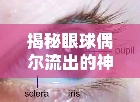 揭秘眼球偶爾流出的神秘膜現(xiàn)象