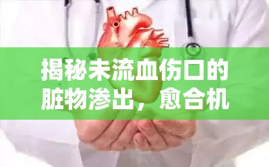 揭秘未流血傷口的臟物滲出，愈合機制與日常護理指南