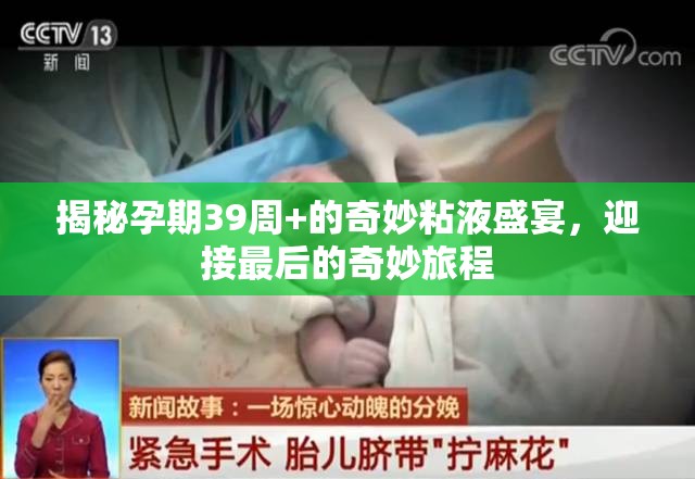 揭秘孕期39周+的奇妙粘液盛宴，迎接最后的奇妙旅程
