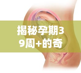 揭秘孕期39周+的奇妙粘液盛宴，迎接最后的奇妙旅程