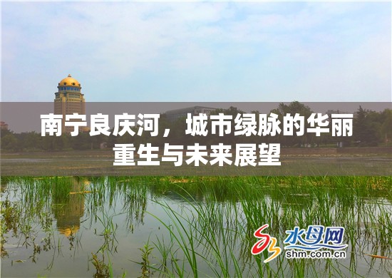 南寧良慶河，城市綠脈的華麗重生與未來展望