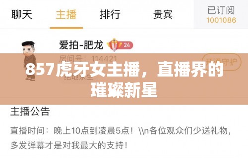 857虎牙女主播，直播界的璀璨新星