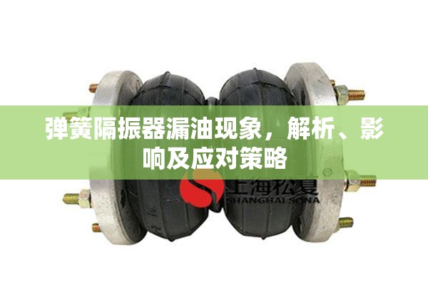 彈簧隔振器漏油現(xiàn)象，解析、影響及應(yīng)對(duì)策略