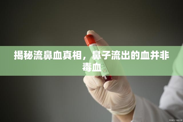 揭秘流鼻血真相，鼻子流出的血并非毒血