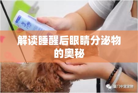 解讀睡醒后眼睛分泌物的奧秘