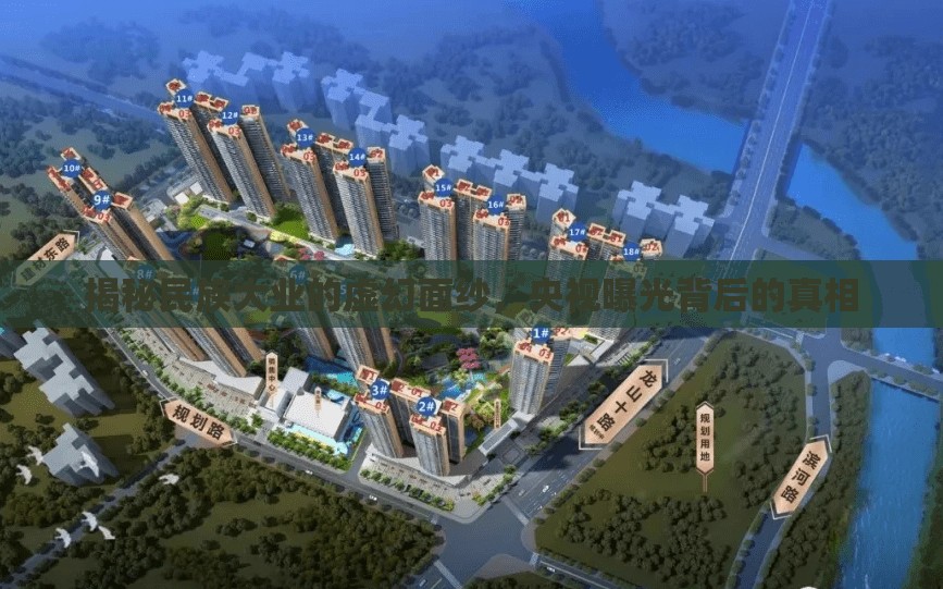 揭秘民族大業(yè)的虛幻面紗，央視曝光背后的真相
