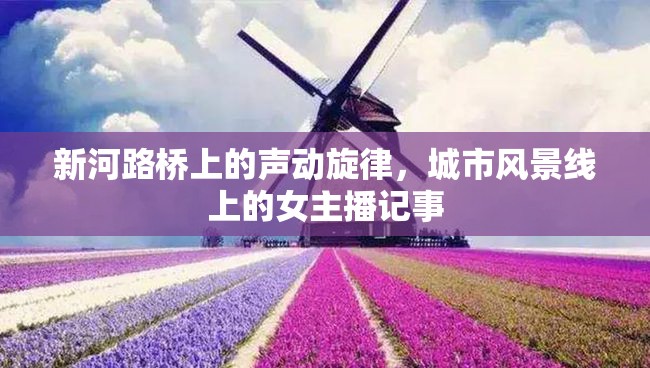 新河路橋上的聲動旋律，城市風(fēng)景線上的女主播記事